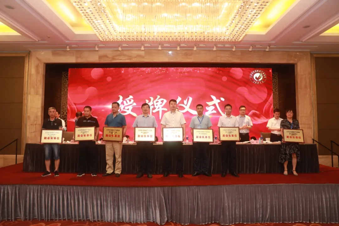 1.webp.jpg 1.webp.jpg